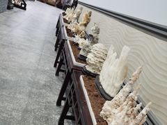 -游龙石文化科普馆