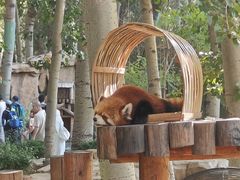 -北京野生动物园