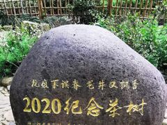-中国茶叶博物馆(双峰馆区)