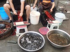 -铜元老码头鳝鱼火锅