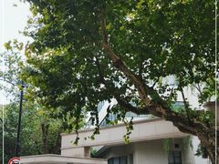 -上海交通大学医学院附属瑞金医院(总院)