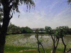 -盘龙城国家考古遗址公园