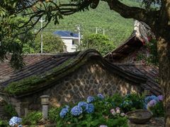-东湖生态旅游风景区