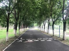 -东郊湿地公园