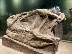 -自贡恐龙博物馆