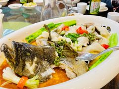 鲜花椒蒸桂花鱼-大门水乡·顺德菜
