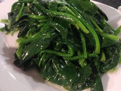 -云中小雅