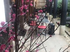 -中村藤吉(本店)
