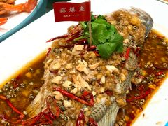 -杨氏青龙虾·羊蝎子(金盛路总店)