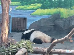 -秦皇岛野生动物园