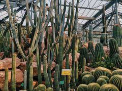 -华南国家植物园-售票处