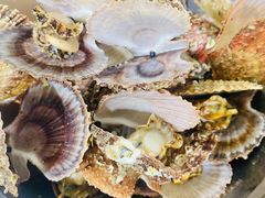 -宾朋海鲜饭庄(兴海路店)