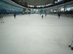 -世界之窗阿尔卑斯冰雪世界
