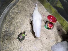 -梦幻海洋王国(吾悦广场张家港店)