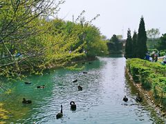 -长白岛森林公园