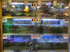水产区-桥东喜碧海鲜街(水东街店)