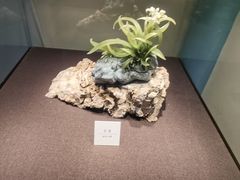 -大连自然博物馆