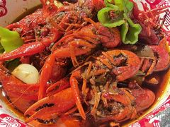 -京悦南门涮羊肉·羊蝎子火锅(田林路店)