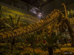 -自贡恐龙博物馆