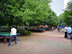-青城公园