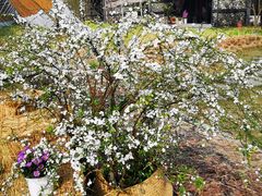 -中国天府农业博览园