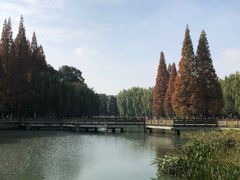 -温江公园