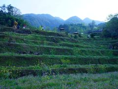 -石台牯牛降景区