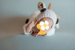 -小熊维尼高端孕婴摄影(清湖金銮店)