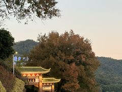 -广东温泉宾馆