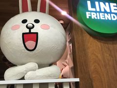 -line friends(明洞旗舰店)