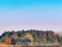 -溱湖国家湿地公园