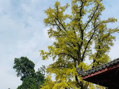 -金堂县云顶石城风景区