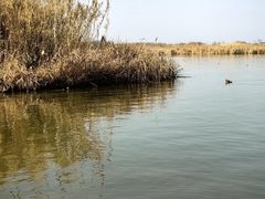 -宁波杭州湾国家湿地公园