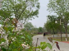 -张家湾公园