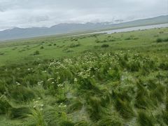 -花湖生态旅游区