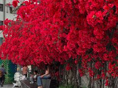 -有红鸡毛店·川菜(建设路店)