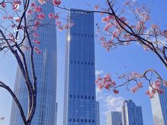 -深圳湾公园(南山区)