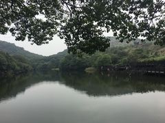 -白马涧龙池景区