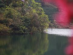 -龙坞茶村