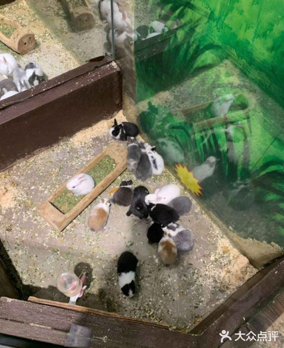 一起来撩吧[调皮]