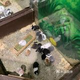 一起来撩吧[调皮]