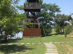 -瑶湖郊野森林公园