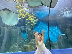 -福州罗源湾海洋世界旅游区