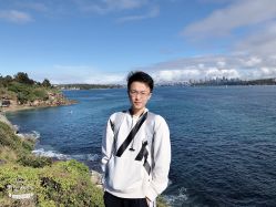 -YESIDO椰岛造型