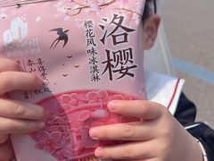 -武汉大学-樱园