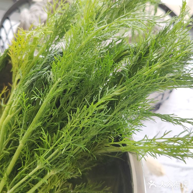 3步搞定茴香饺子，1岁宝宝也爱吃！