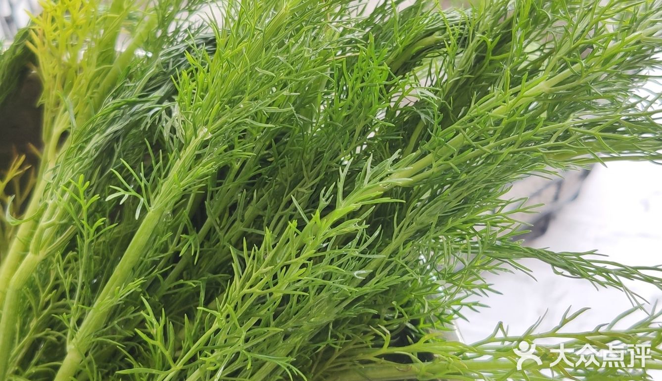 3步搞定茴香饺子，1岁宝宝也爱吃！