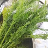 3步搞定茴香饺子，1岁宝宝也爱吃！