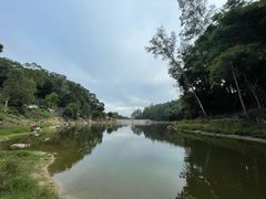 -火炉山森林公园