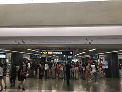 -爱雍·乌节
